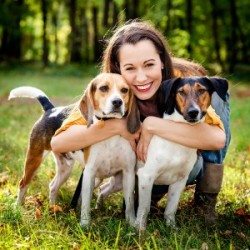 Considering Getting A Dog